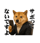 敬語で働く柴犬 / 仕事・日常会話（個別スタンプ：7）
