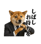 敬語で働く柴犬 / 仕事・日常会話（個別スタンプ：8）