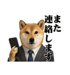 敬語で働く柴犬 / 仕事・日常会話（個別スタンプ：13）