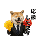 敬語で働く柴犬 / 仕事・日常会話（個別スタンプ：18）
