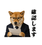 敬語で働く柴犬 / 仕事・日常会話（個別スタンプ：20）