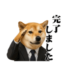 敬語で働く柴犬 / 仕事・日常会話（個別スタンプ：22）