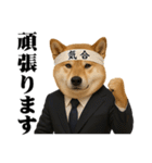 敬語で働く柴犬 / 仕事・日常会話（個別スタンプ：23）