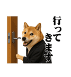敬語で働く柴犬 / 仕事・日常会話（個別スタンプ：27）