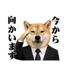敬語で働く柴犬 / 仕事・日常会話（個別スタンプ：28）