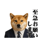 敬語で働く柴犬 / 仕事・日常会話（個別スタンプ：30）