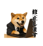 敬語で働く柴犬 / 仕事・日常会話（個別スタンプ：31）