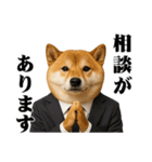 敬語で働く柴犬 / 仕事・日常会話（個別スタンプ：33）