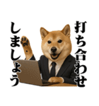 敬語で働く柴犬 / 仕事・日常会話（個別スタンプ：34）