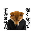 敬語で働く柴犬 / 仕事・日常会話（個別スタンプ：35）