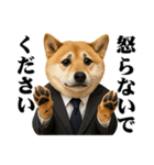 敬語で働く柴犬 / 仕事・日常会話（個別スタンプ：36）