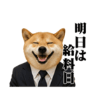 敬語で働く柴犬 / 仕事・日常会話（個別スタンプ：38）