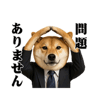 敬語で働く柴犬 / 仕事・日常会話（個別スタンプ：39）
