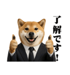 敬語で働く柴犬 / 仕事・日常会話（個別スタンプ：40）