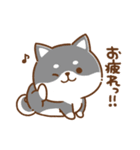 毎日使えるスタンプ★かまってチビ柴33（個別スタンプ：1）