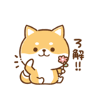 毎日使えるスタンプ★かまってチビ柴33（個別スタンプ：2）