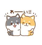 毎日使えるスタンプ★かまってチビ柴33（個別スタンプ：11）