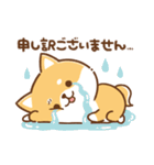 毎日使えるスタンプ★かまってチビ柴33（個別スタンプ：12）