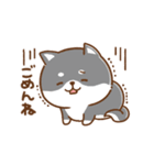 毎日使えるスタンプ★かまってチビ柴33（個別スタンプ：13）