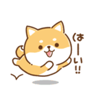 毎日使えるスタンプ★かまってチビ柴33（個別スタンプ：15）