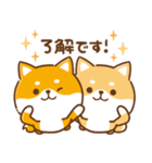 毎日使えるスタンプ★かまってチビ柴33（個別スタンプ：16）