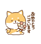 毎日使えるスタンプ★かまってチビ柴33（個別スタンプ：22）