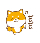 毎日使えるスタンプ★かまってチビ柴33（個別スタンプ：32）