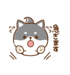 毎日使えるスタンプ★かまってチビ柴33（個別スタンプ：38）