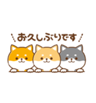 毎日使えるスタンプ★かまってチビ柴33（個別スタンプ：39）