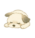 おんの平穏スタンプ（個別スタンプ：16）