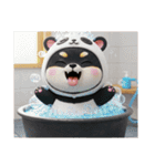 パンダの着ぐるみシリーズ豆柴犬の黒チビ（個別スタンプ：12）