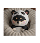 パンダの着ぐるみシリーズ豆柴犬の黒チビ（個別スタンプ：28）