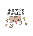動く！毎日五月病なねこたち 敬語（個別スタンプ：10）