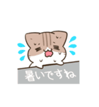 動く！毎日五月病なねこたち 敬語（個別スタンプ：20）
