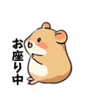ピースなハムちゃんず（個別スタンプ：13）