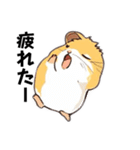 ピースなハムちゃんず（個別スタンプ：21）
