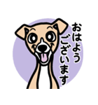 【フォーン2】1年中使える♡パピーイタグレ（個別スタンプ：1）