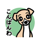 【フォーン2】1年中使える♡パピーイタグレ（個別スタンプ：3）