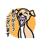 【フォーン2】1年中使える♡パピーイタグレ（個別スタンプ：5）