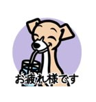 【フォーン2】1年中使える♡パピーイタグレ（個別スタンプ：8）