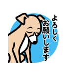【フォーン2】1年中使える♡パピーイタグレ（個別スタンプ：9）