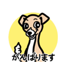 【フォーン2】1年中使える♡パピーイタグレ（個別スタンプ：11）