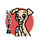 【フォーン2】1年中使える♡パピーイタグレ（個別スタンプ：13）