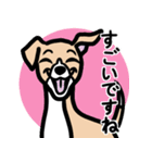 【フォーン2】1年中使える♡パピーイタグレ（個別スタンプ：14）