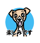 【フォーン2】1年中使える♡パピーイタグレ（個別スタンプ：16）