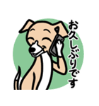 【フォーン2】1年中使える♡パピーイタグレ（個別スタンプ：17）