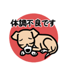 【フォーン2】1年中使える♡パピーイタグレ（個別スタンプ：20）