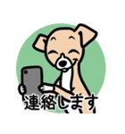 【フォーン2】1年中使える♡パピーイタグレ（個別スタンプ：24）