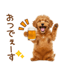 敬語で伝える♡トイプードル（個別スタンプ：5）