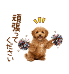 敬語で伝える♡トイプードル（個別スタンプ：7）